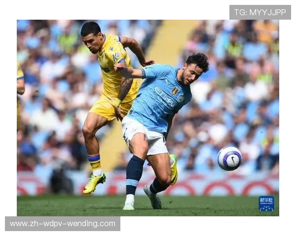 水晶宫足球俱乐部英超球员介绍与数据盘点